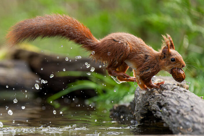 A1100630_DxO-MT-2_DxO