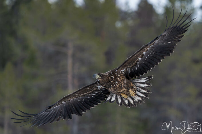 A1103861_DxO-MT-MT 2