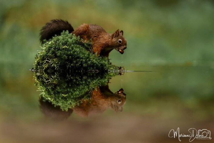 A1105613_DxO-MT-MT-2