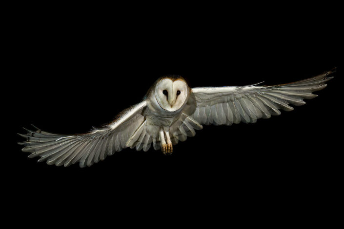 A1109869_DxO-MT-MT_DxO