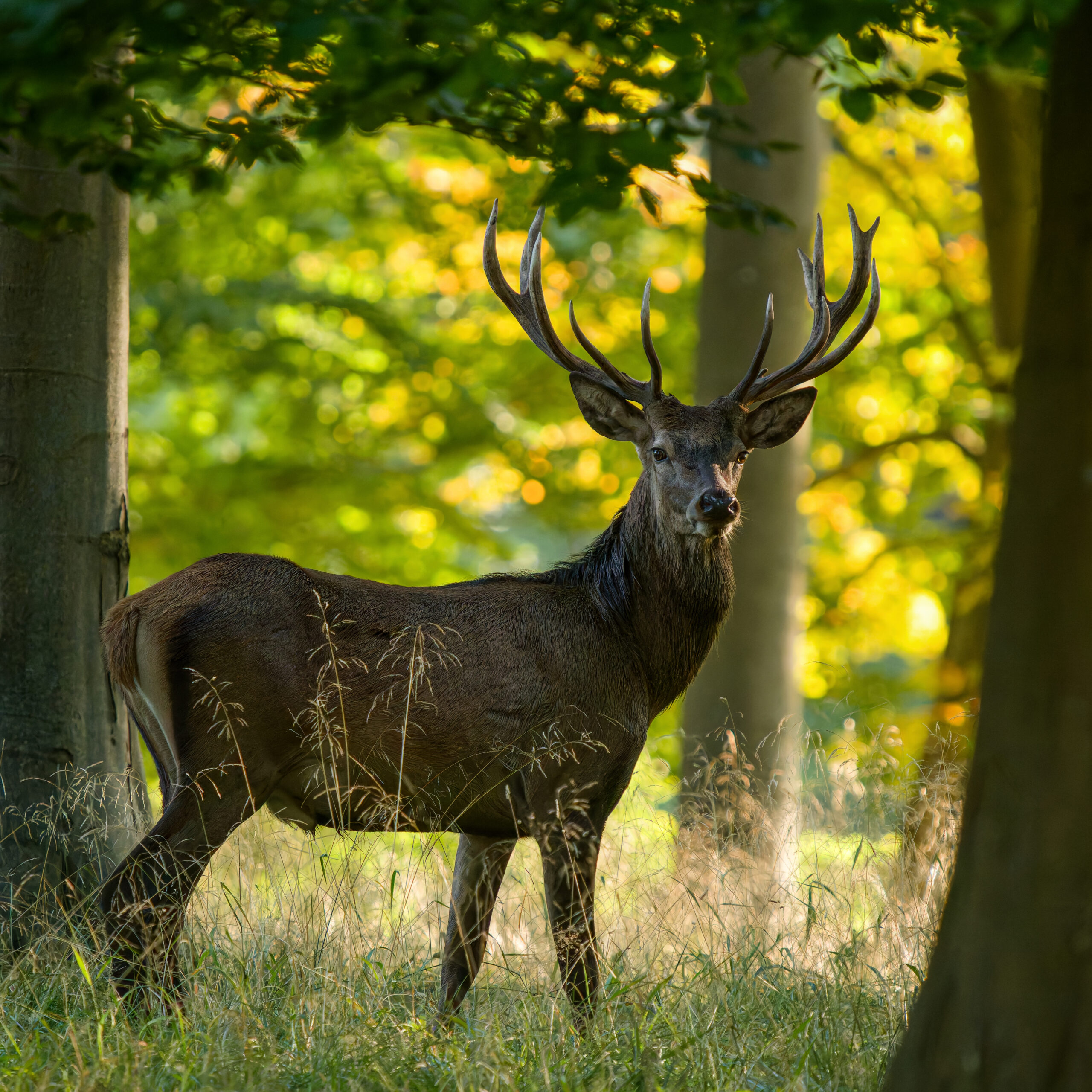 ARV09642_DxO-MT-2_DxO